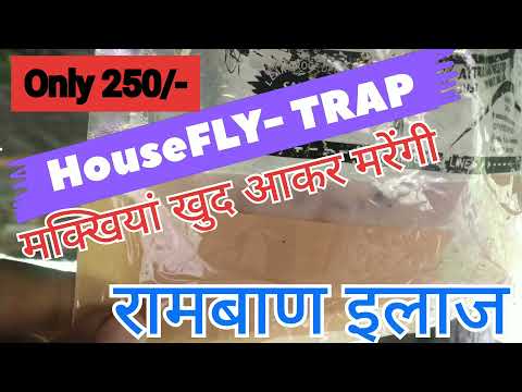 HouseFly Trap, FLY TRAP | Dairy में मक्खियों का रामबाण ईलाज | Milk House | Price | Fly trap Review