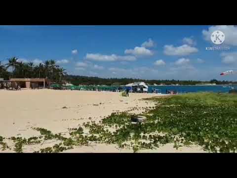 Praia do gunga, Maceió