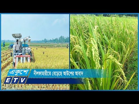 এবারে ১হাজার ৮৫৭ হেক্টর জমিতে চাষ হচ্ছে আউশ ধান | ETV News