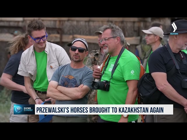 Kazakistan’a Çek Cumhuriyeti ve Macaristan'dan Przewalski'nin atları getirildi