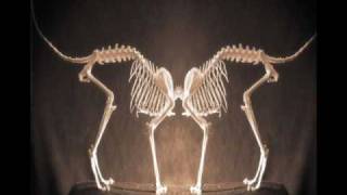 Trophy Scars- Anxiety, Anxieties