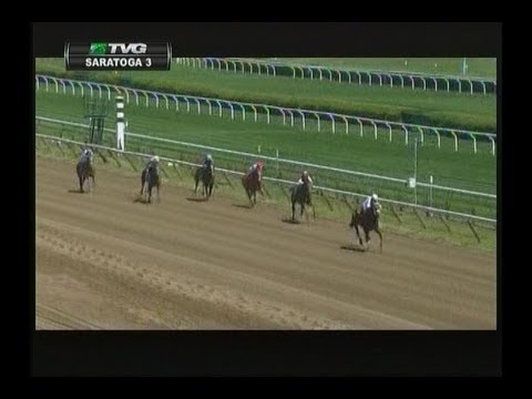King Cyrus - 2013 Saratoga Maiden Race