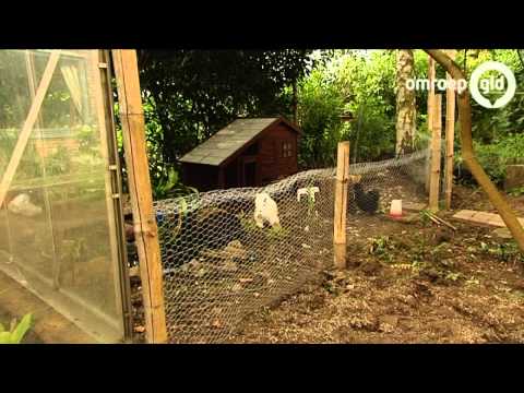 Gelderse koppen 19 oktober 2013