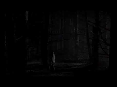 GeloGelido & sonno. - Kamikaze - VISUAL