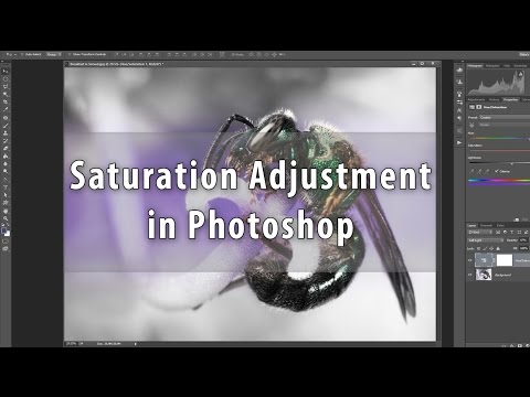 The Saturation Adjustment Layer in Photoshop