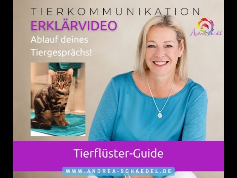 Der Tierflüster-Guide - Erklärvideo. So läuft eine Tierkommunikation bei mir ab