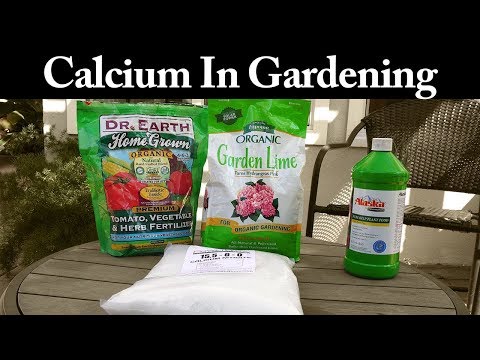 How to use calcium in gardening