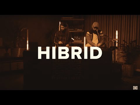 Analog Balaton – Hibrid • Petőfi LIVE!