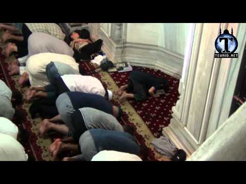 Best Quran recitation, by a young child! 2012 - Hamza Ferati