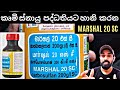 14 කෘමීන්ට ස්පර්ශ විෂ ආමාෂ ගත විෂ ඇතිකර�