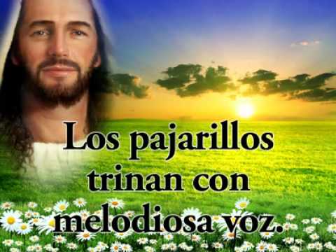 540   Ya asoma el Sol brillante EDICIÓN ESPECIAL