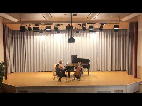Faure: Piano Trio in D minor Op. 120 , 1st movement