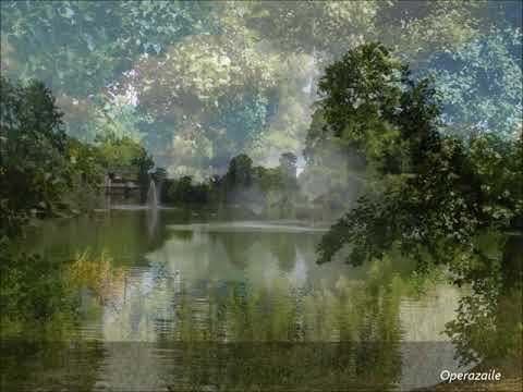 Albrechtsberger: Partita for Harp and Orchestra in F major (Anna Lelkes)