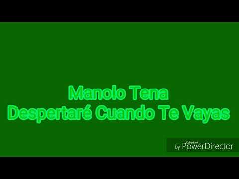 Manolo Tena - despertaré cuando te vayas
