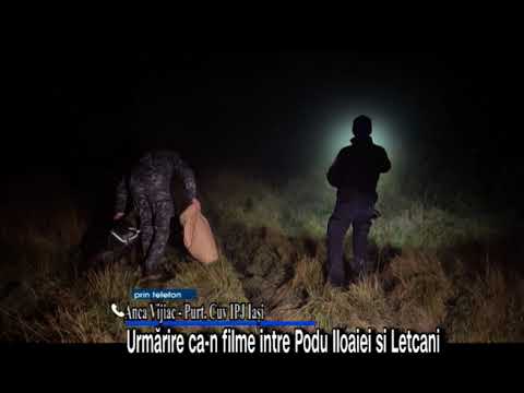 Urmarire ca-n filme cu focuri de arma in Podu Iloaiei. Soferul, cautat cu cainii politisti