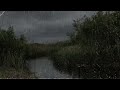 Heavy Rain & Thunder - Rain sounds for Sleep - 1 hour rain sounds for sleep