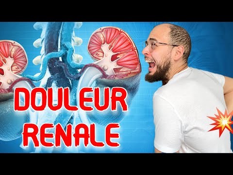 Avoir MAL AUX REINS : Les 3 Grandes CAUSES !