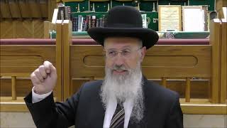 הרב אברהם יוסף שליט"א כל דיני ליל הסדר פסח תשפ"ב
