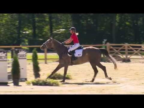 35 Combleux  Wallach v. Camax L - Rotarier