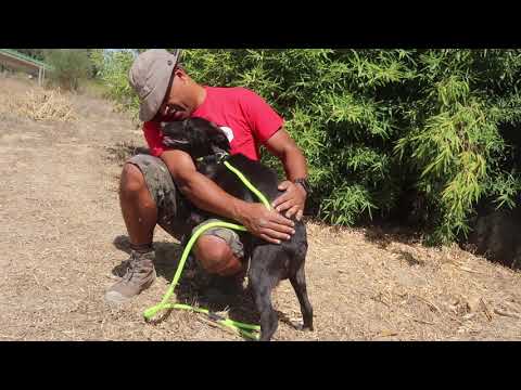Vídeo de SANDRO