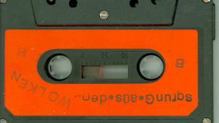 SDW  - Track VI ( 1981 Experimental Industrial  / Electro Punk )