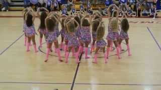 preview picture of video 'IES Dance Team The Dream Catchers!!!'