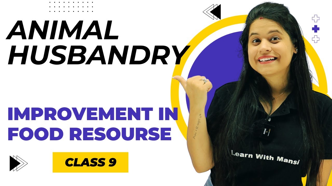 Animal Husbandry | Chapter 12 | Improvement in Food Resources | Class 9 Science