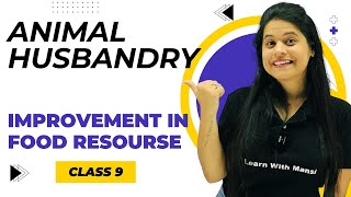 Animal Husbandry | Chapter 12 | Improvement in Food Resources | Class 9 Science