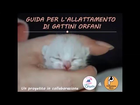 Come prendere una pillola contro vermi Arte un parassita la dottrina su vita