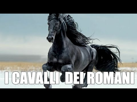 , title : 'I cavalli nell'antica Roma. Razze, addestramento, impiego in battaglia'