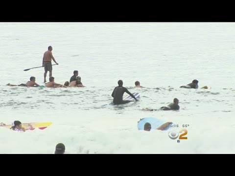 Paddle Out Held To Remember Malib Base Jumper Johnny Strange