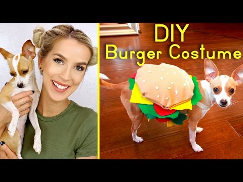 DIY Cute Dog Burger Costume | Halloween 2016 | LeighAnnSays