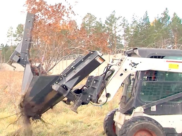 Время садить деревья