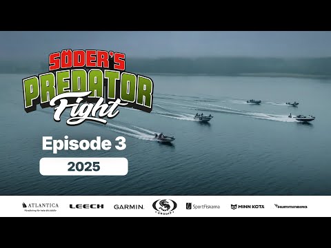 Predator Fight 2025 | Episode 3 (Multiple subtitles)