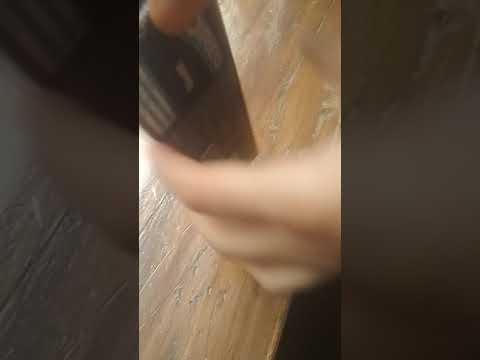 catbury chocolate dipped biscuit new pack