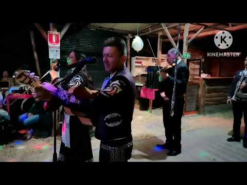 Serenata 8 de noviembre Bojaca Cundinamarca 