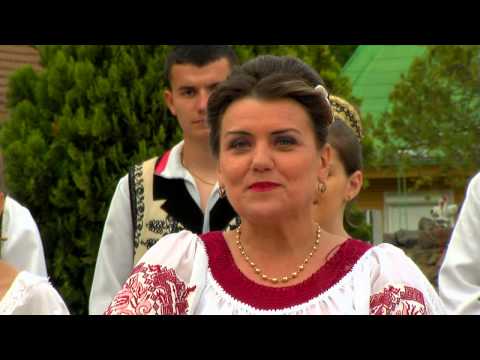 Floare Hojda Tomoiaga - Iubeste-ma bade draga