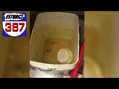 COCINA DEL RESTAURANTE  LATIN STAR,CONDADO, PUERTO RICO, JUZGUE USTED