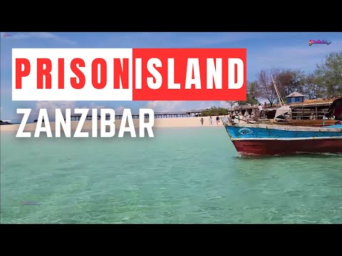 PRISON ISLAND Zanzibar Tour | Tanzania