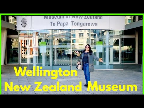 Te Papa Museum in Wellington New Zealand