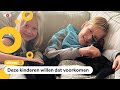 In Friesland schieten ze op zwerfkatten