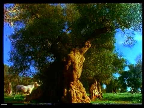 Cristiano De André - Nel bene e nel male - Video ufficiale