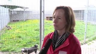 Sehenswert! // Tierheim Berlin (Teil 2)