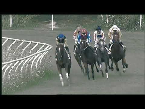 Galoppo 08/08/2020 1ª  corsa