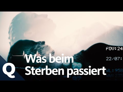 This is what happens in the body when we die | Quarks