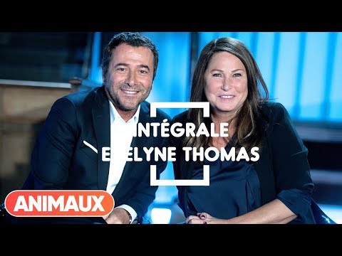 Evelyne Thomas est dans Animaux Stars - Animaux