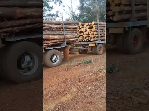 IVECO ストラリス