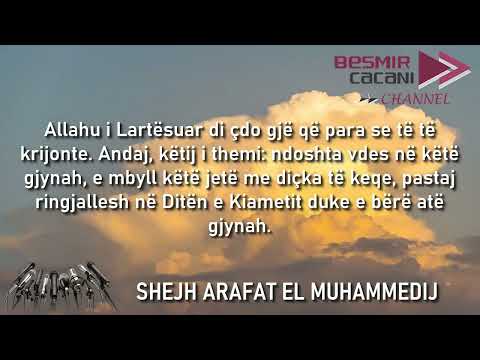 551. Si t'i japim fund gjynaheve që bëhen në vetmi? - Shejh Arafat el Muhammedij