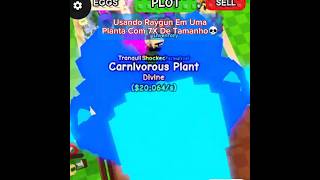 Quero Minha Planta Gigante De Volta😭🙏🥀