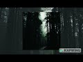 Willex Dolorem Slowed Reversed 30 Minutes Version